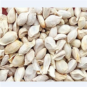 19usd Prodgf 3000Pcs A Set blood orange seed