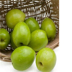29usd  Prodgf 2Pcs A Set green jujube plant