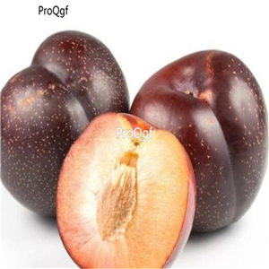 29usd Prodgf 2Pcs A Set Prunus salicina plant