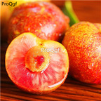 19usd Prodgf 300Pcs A Set Red Heart plum seed
