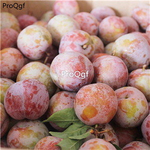 19usd Prodgf 300Pcs A Set Red Heart plum seed