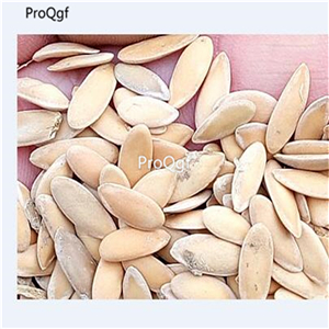 19usd Prodgf 500Pcs A Set people face sweet melon seed