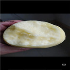 19usd Ngryise 2000Pcs A Set ice sweet apple fruit seed