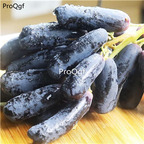 19usd Ngryise 2000Pcs A Set jewelry finger shape grape seed