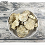 19usd Ngryise 300Gram A Set Cichorium intybu