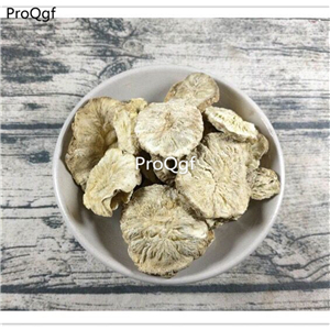19usd Ngryise 300Gram A Set Cichorium intybu