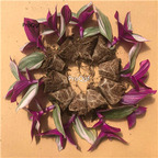 25usd Ngryise 5Pcs A Set wedding Chlorophytum comosum youhua plant