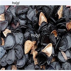 19usd Prodgf 300Pcs A Set YUCCA SCHIDIGERA seed