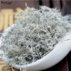 29usd Ngryise 200Gram A Set Vine Tea Ampelopsis Grossedentata