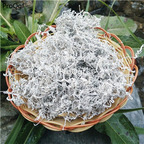 18usd Prodgf 500Pcs A Set Ampelopsis Grossede seed