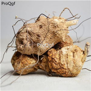 29usd Prodgf 250Gram A Set wubi jiage