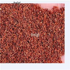 19usd ngryise 500pcs Phellinus Linteus  seed