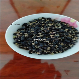 19usd Prodgf  500Gram A Set Black Goji Berry