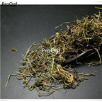 19usd Prodgf  300Gram A Set Herba Lobeliae Chinensis