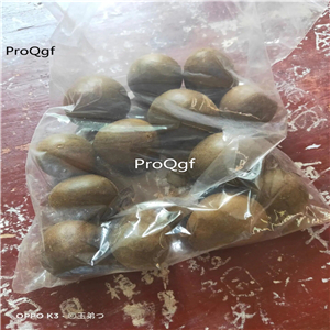 19usd Prodgf 50Pcs A Set Grosvener Siraitia Fructus Momordicae luohanguo