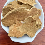 19usd Prodgf 500Gram A Set CORTEX AILANTHI Ailanthus Altissima