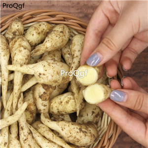 19usd Ngryise 30Pcs A Set Ginger Root  Zingiber Officinale bulb