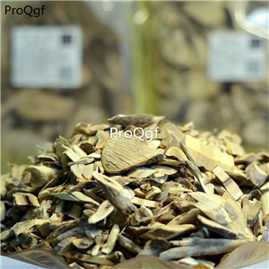 19usd Ngryise 500Gram A Set Acanthopanax Senticosus