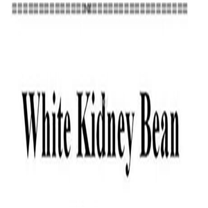 19usd Ngryise 500Pcs A Set White Kidney Bean capsulee seed