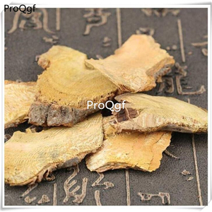 19usd Ngryise 500Gram A Set Polygonum Cuspidatum