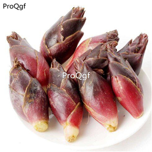 19usd Ngryise 5Pcs A Set Jerusalem Artichoke bulb
