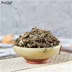 19usd Prodgf 500Gram A Set Folium Camptotheca