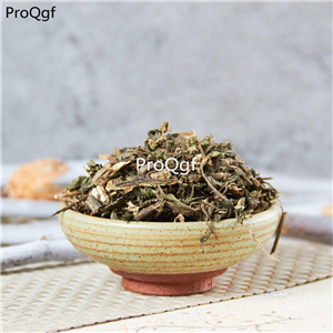 19usd Prodgf 500Gram A Set Folium Camptotheca