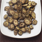 19usd Prodgf 500Gram A Set RADIX RHAPONTICI