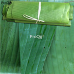 19usd Prodgf 300Gram A Set rare Musa Basjoo Sieb Japanese Banana