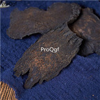 19USD Prodgf 500Gram A Set Herba Cistanche