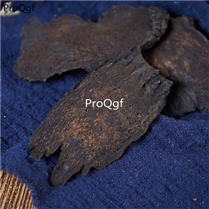 19USD Prodgf 500Gram A Set Herba Cistanche