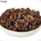 19usd Prodgf 500Gram A Set Hypericum Perforatum