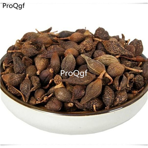 19usd Prodgf 500Gram A Set Hypericum Perforatum