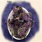 19USD Prodgf 500Gram A Set Perilla Frutescens leaf