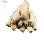 29usd Prodgf 200Gram A Set Spongilla Fragills