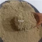 39usd Prodgf 300Gram A Set Spongilla Fragills rare powder