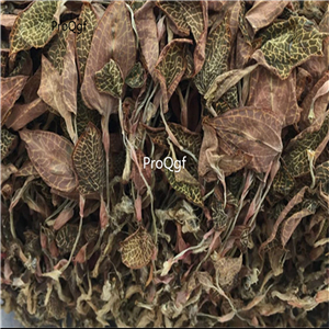 19usd Prodgf 50Gram A Set Herba Anoectochilus Roxburghi