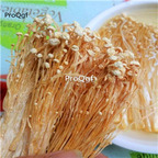 19usd Ngryise 500Gram A Set Flammulina Velutipes