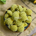 19usd Ngryise 500Gram A Set Floss Edgeworthia Chrysantha