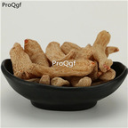 19usd Ngryise 500Gram A Set Rhizoma Gastrodiae