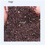19usd Ngryise 30000Pcs A Set Nepeta cataria seed