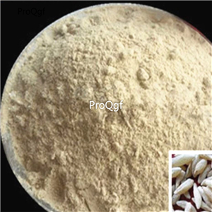 19usd Ngryise 300Gram A Set  rare Radix Ophiopogonis powder