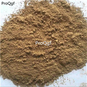19usd Ngryise 300Gram A Set  Spica Prunellae rare powder