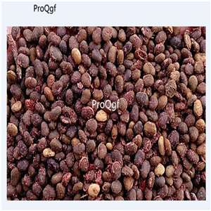 19usd Ngryise 8000Pcs A Set  Nutgall Sumac Gallnut seed