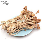19usd Ngryise 500Gram A Set  Agrocybe Cylindrace