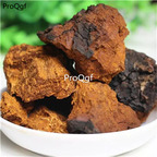 19usd Prodgf 500Gram A Set Siberian Chaga Mushroom