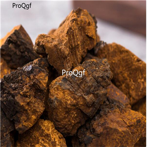 19usd Prodgf 500Gram A Set Siberian Chaga Mushroom