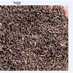19usd Prodgf 9000Pcs A Set Bupleurum rare seed