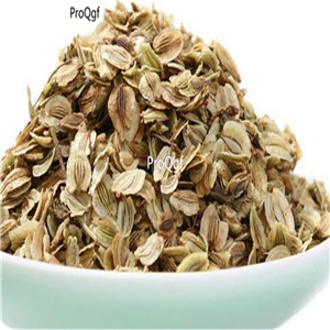 19usd Prodgf 6000Pcs A Set Radix Angelicae seed
