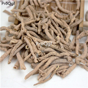 29usd Prodgf 500Gram A Set  Radix Polygalae rare hot